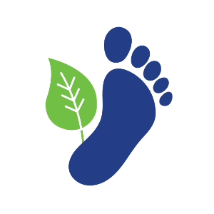 Carbon Footprint Icon